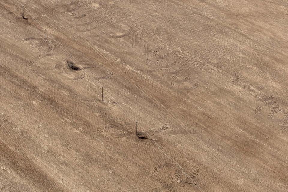 Brown Floor